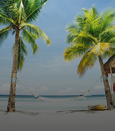 Playas del Caribe con palmeras