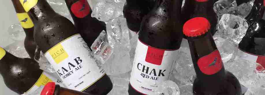 PICH CERVEZA ARTESANAL Cover Image