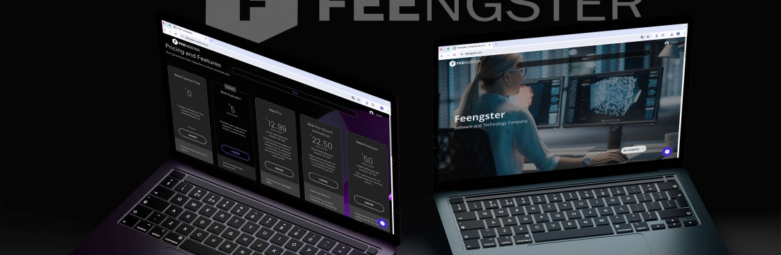 Feengster mx Cover Image
